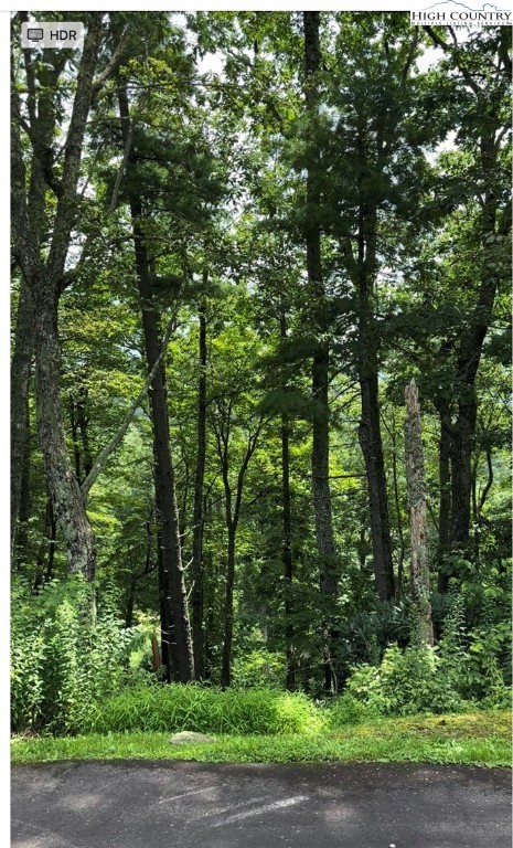Lot 11 Sunset Ridge Drive Boone, NC 28607 - Photo 6 of 6 a view of forest