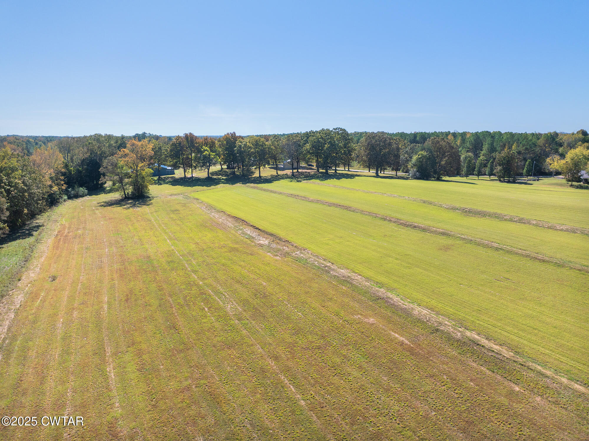 3685 Henderson Road Sardis, TN 38371 - Photo 43 of 46 a view of swimming pool