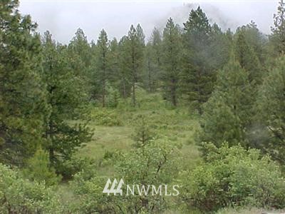1851 Tunk Creek Road Riverside, WA 98849 - Photo 1 of 1 Gallery Image 1
