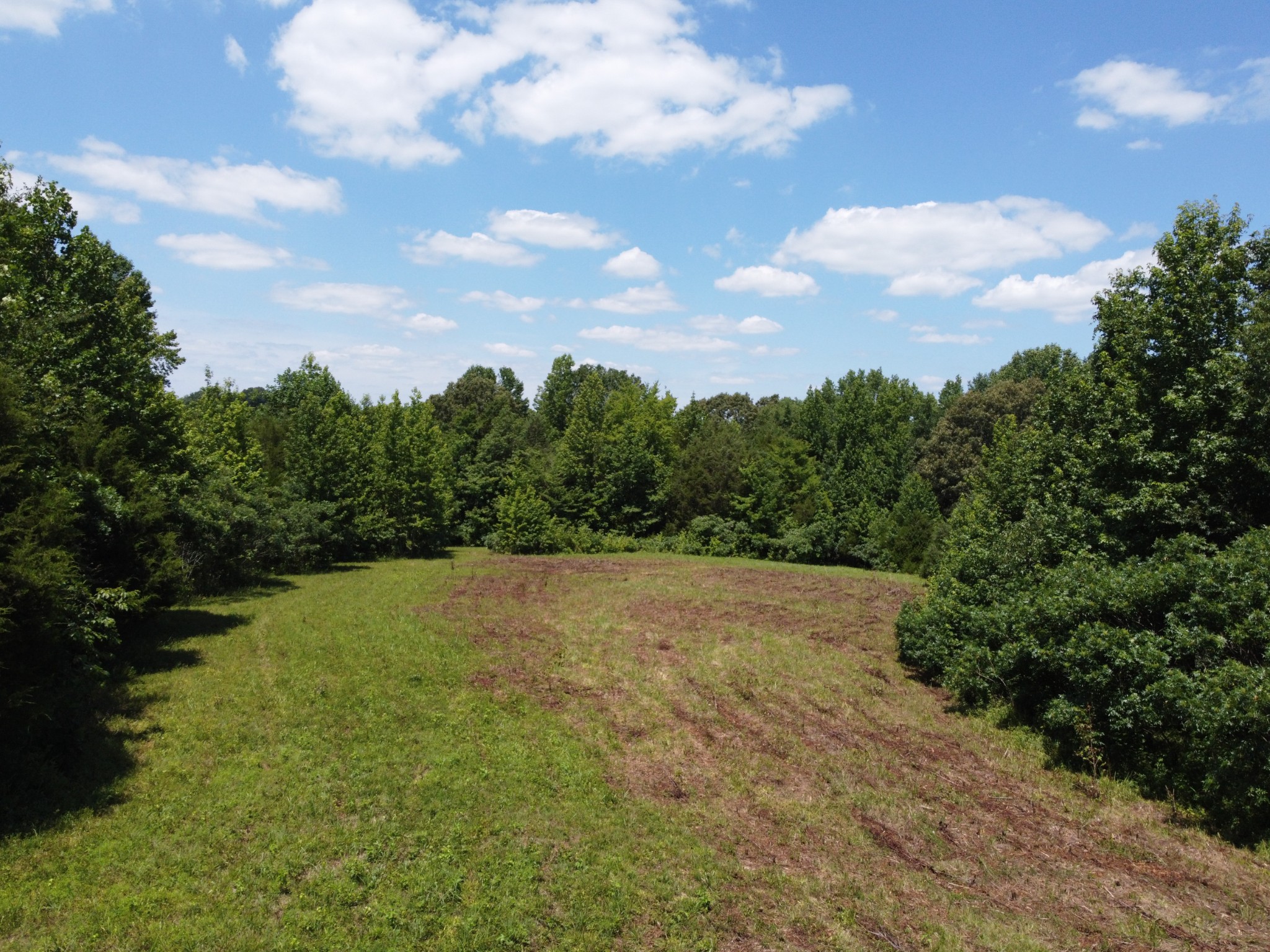 1364 Hunley Branch Road Charlotte, TN 37036 - Photo 6 of 35 Gallery Image 6