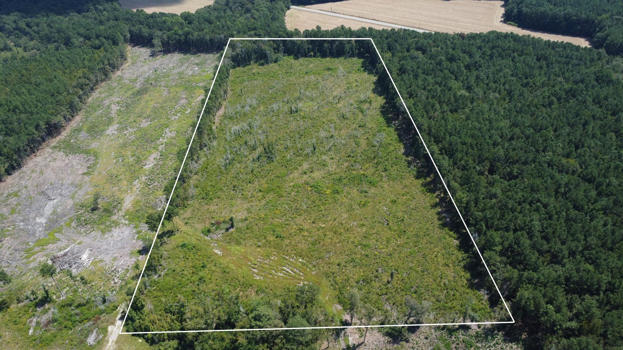Tbd Tbd Ltr Road Vance, SC 29163 - Photo 1 of 9