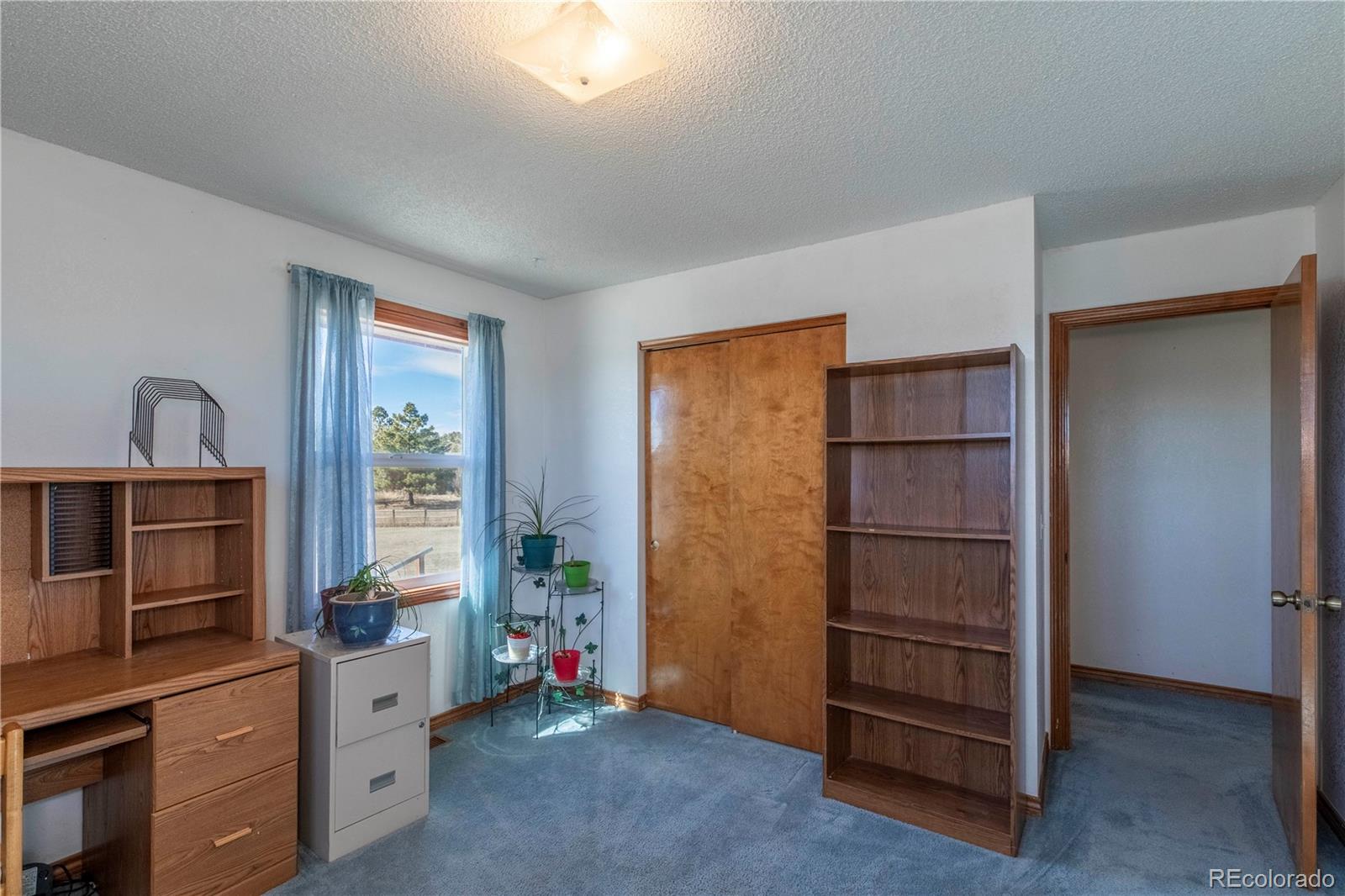 2141 Remington Road Elizabeth, CO 80107 - Photo 17 of 42 a view of workspace with furniture and natural light