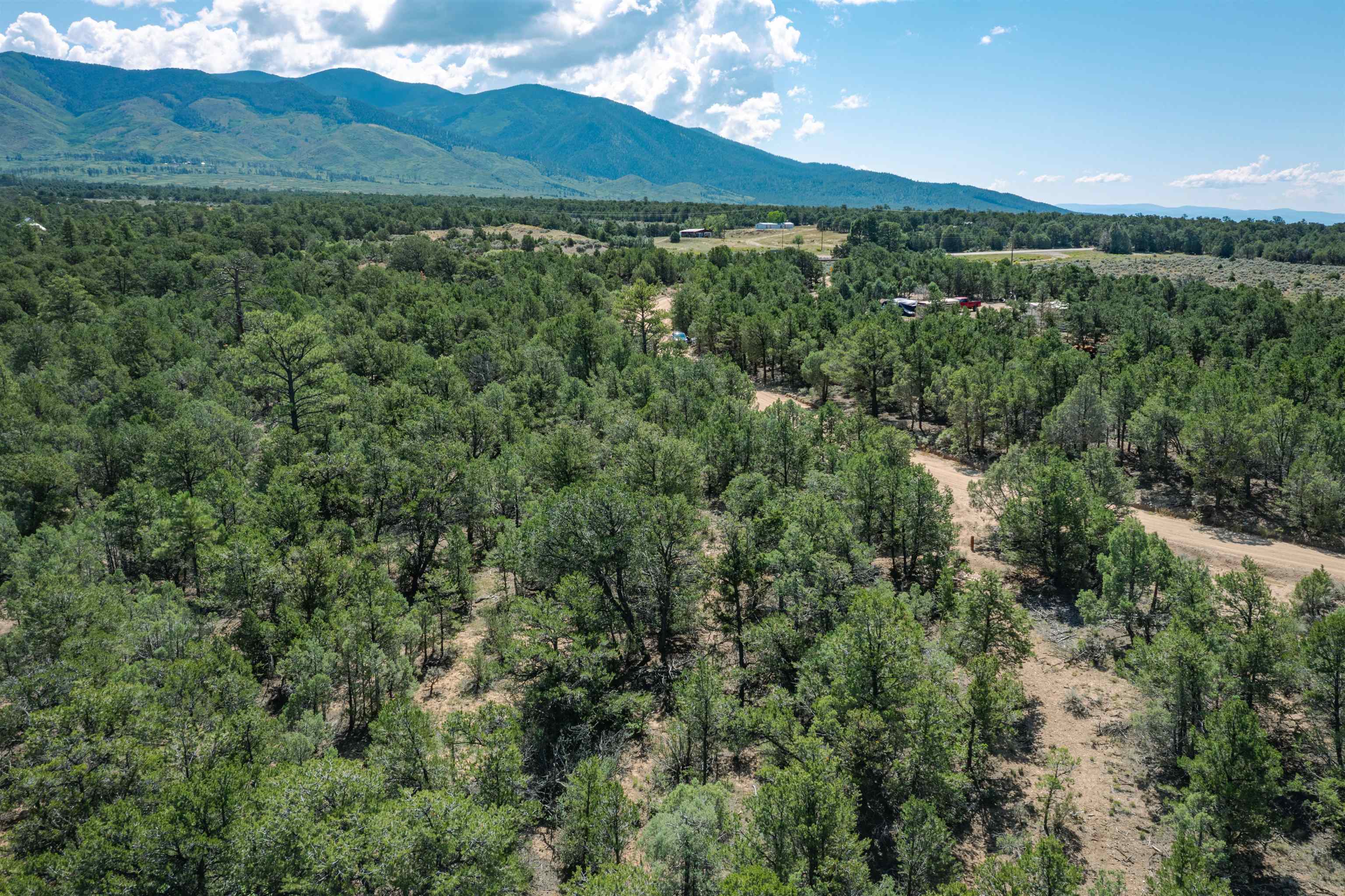 0 Forest Rd 9 Ramah, NM 87556 - Photo 10 of 22 Gallery Image 10