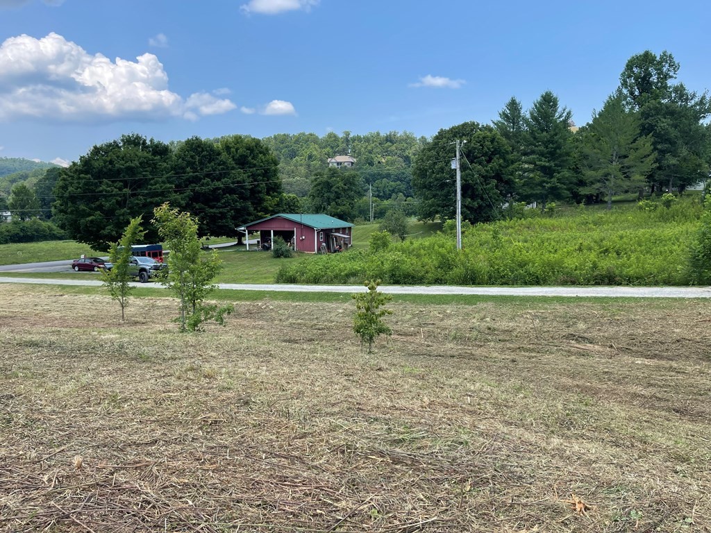 5 Little Cove Road Sevierville, TN 37862 - Photo 3 of 15