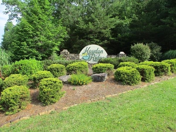 a view of a garden with a lot of plants and a fountain