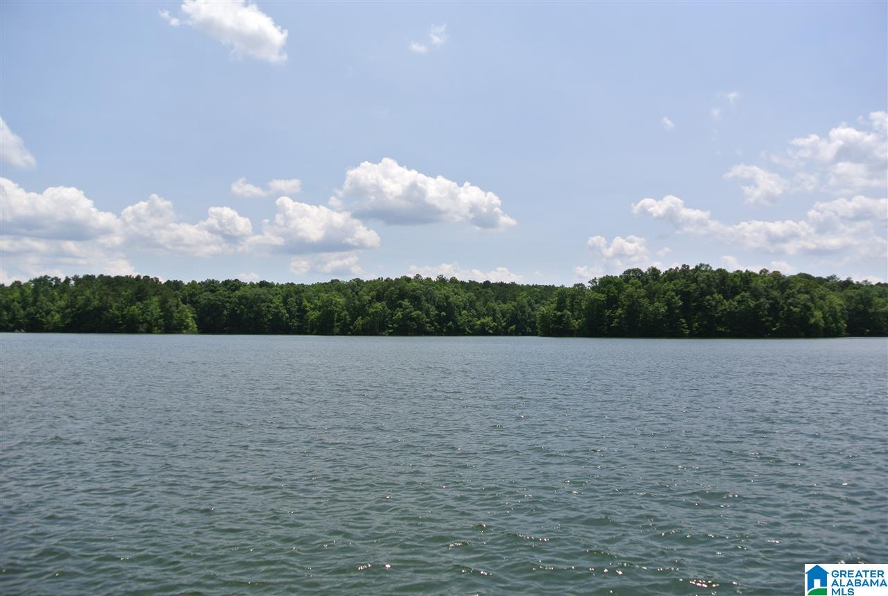 335 Hanson Road Wedowee, AL 36278 - Photo 13 of 24