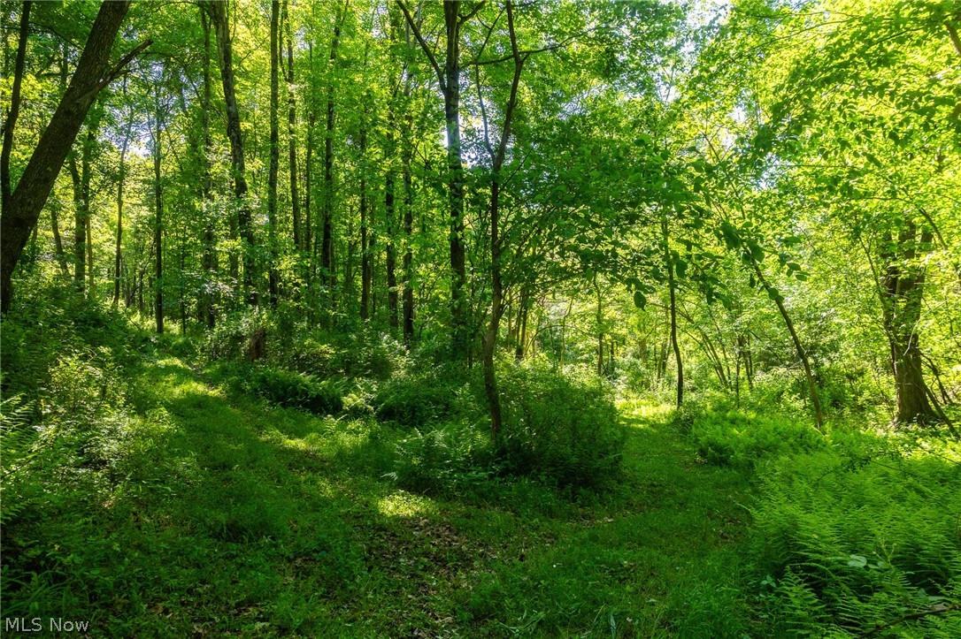 Ridge Road Minerva, OH 44657 - Photo 22 of 49
