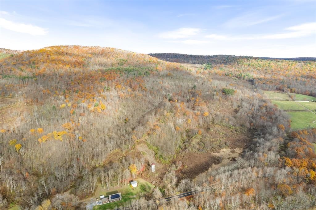 144 State Line Road Windsor, NY 13865 - Photo 4 of 12