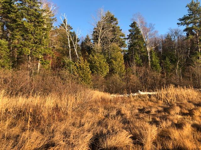 0 Otter Pond Road Greenville, ME 04441 - Photo 6 of 9 IMG_1307
