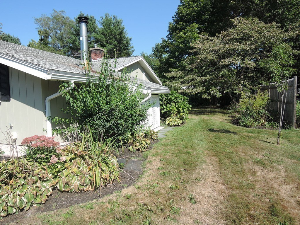 5 Temi Road Framingham, MA 01701 - Photo 19 of 27 a view of a garden with plants