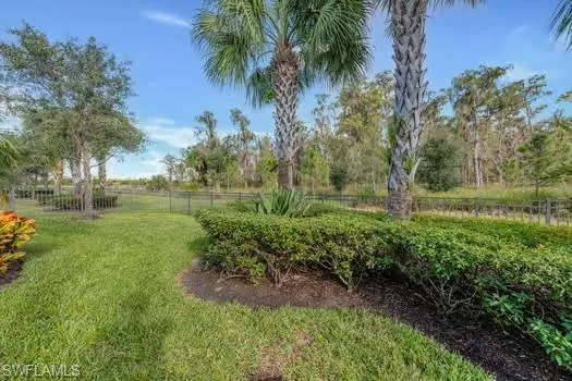 a view of a garden with a tree
