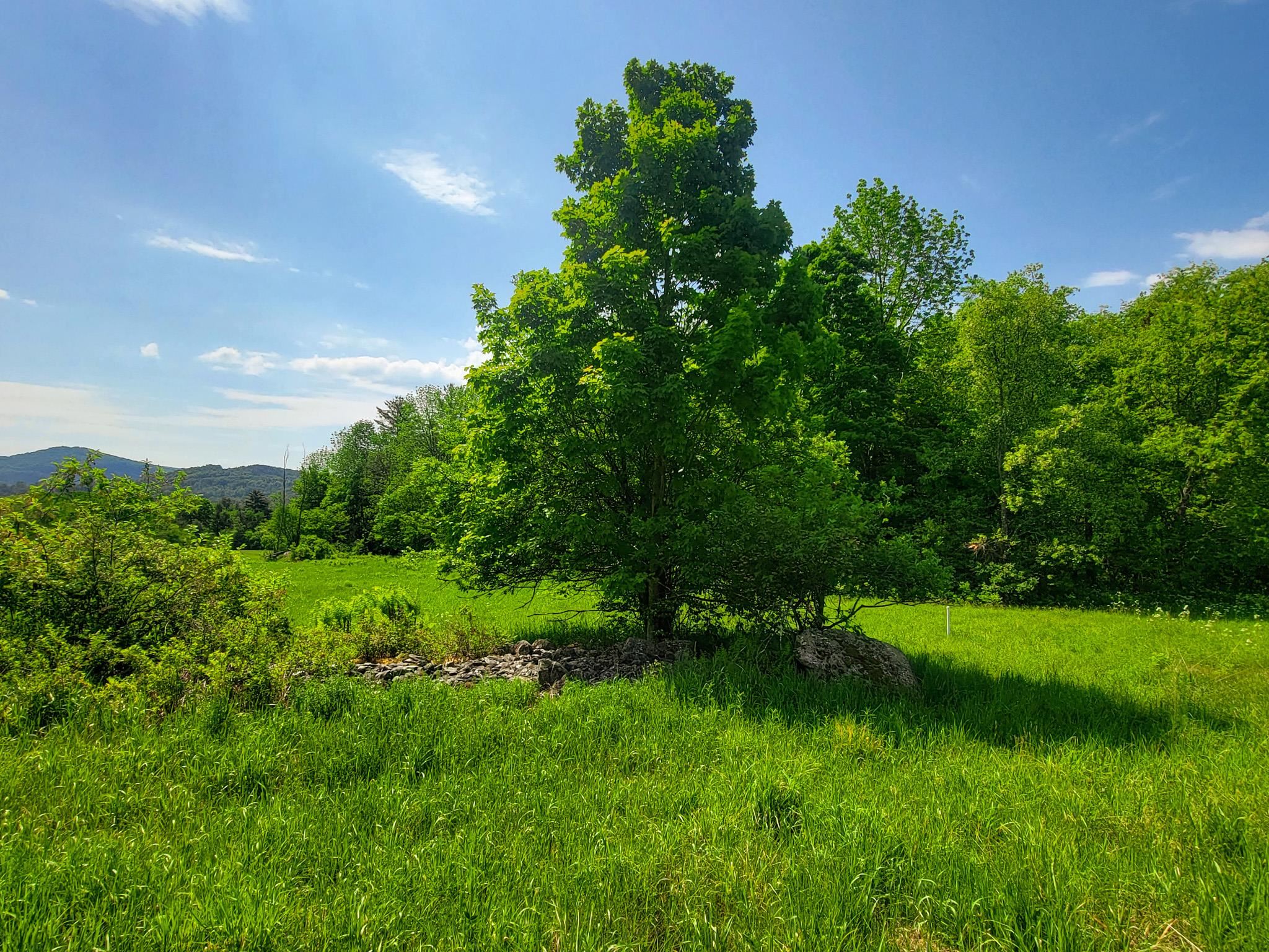 342 Access Road, Unit 4 Rochester, VT 05767 - Photo 12 of 40