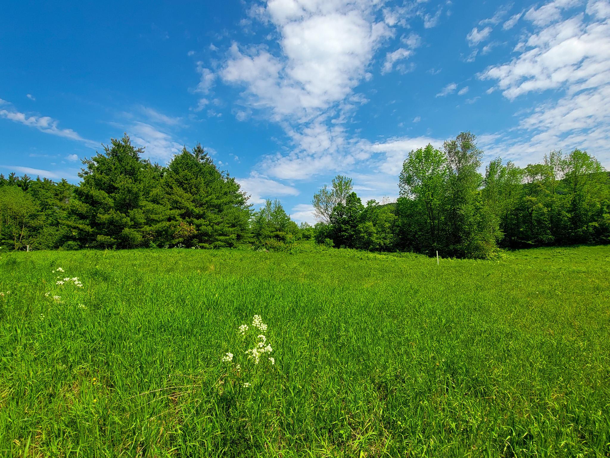 342 Access Road, Unit 4 Rochester, VT 05767 - Photo 15 of 40