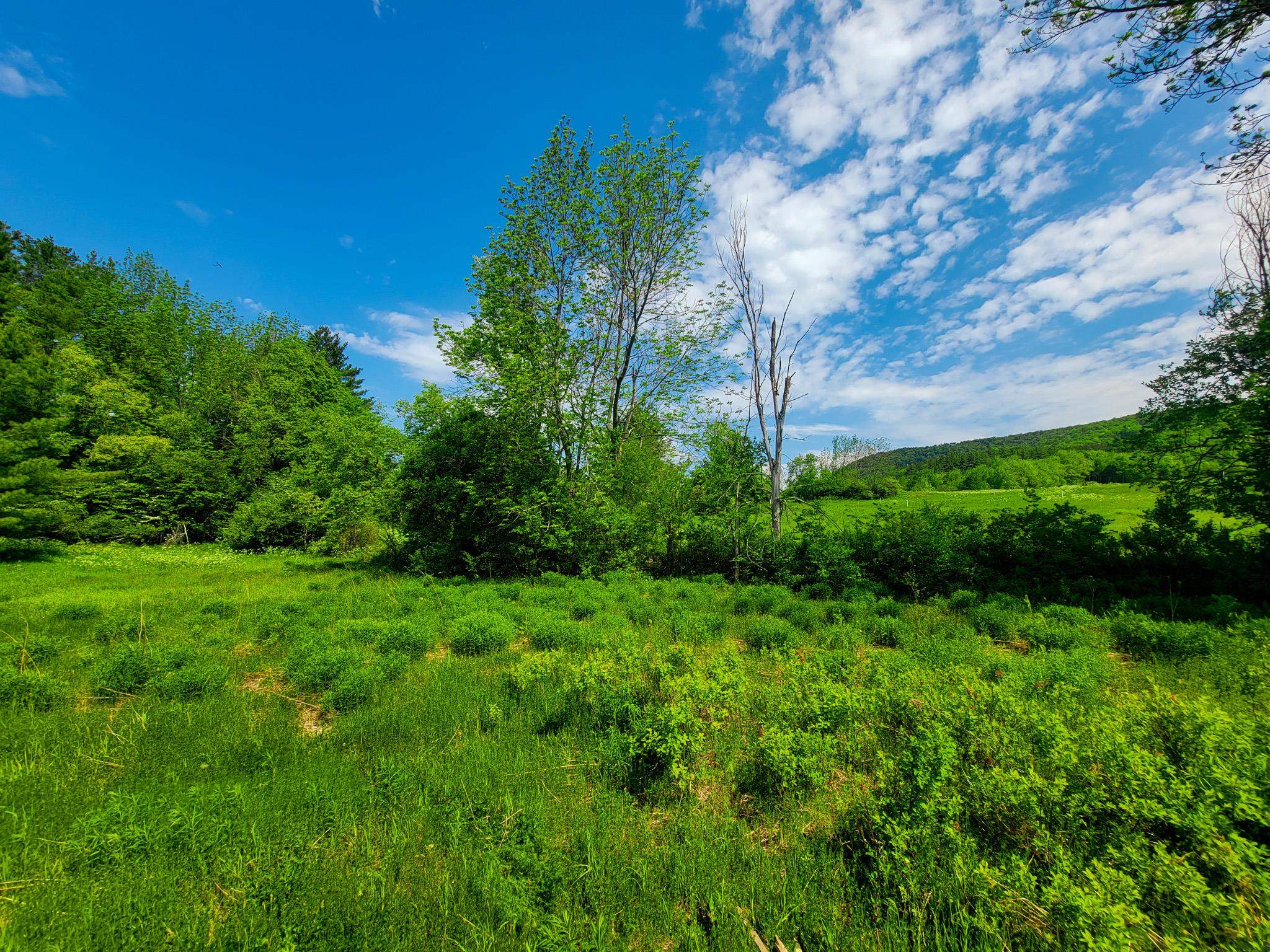 342 Access Road, Unit 4 Rochester, VT 05767 - Photo 17 of 40