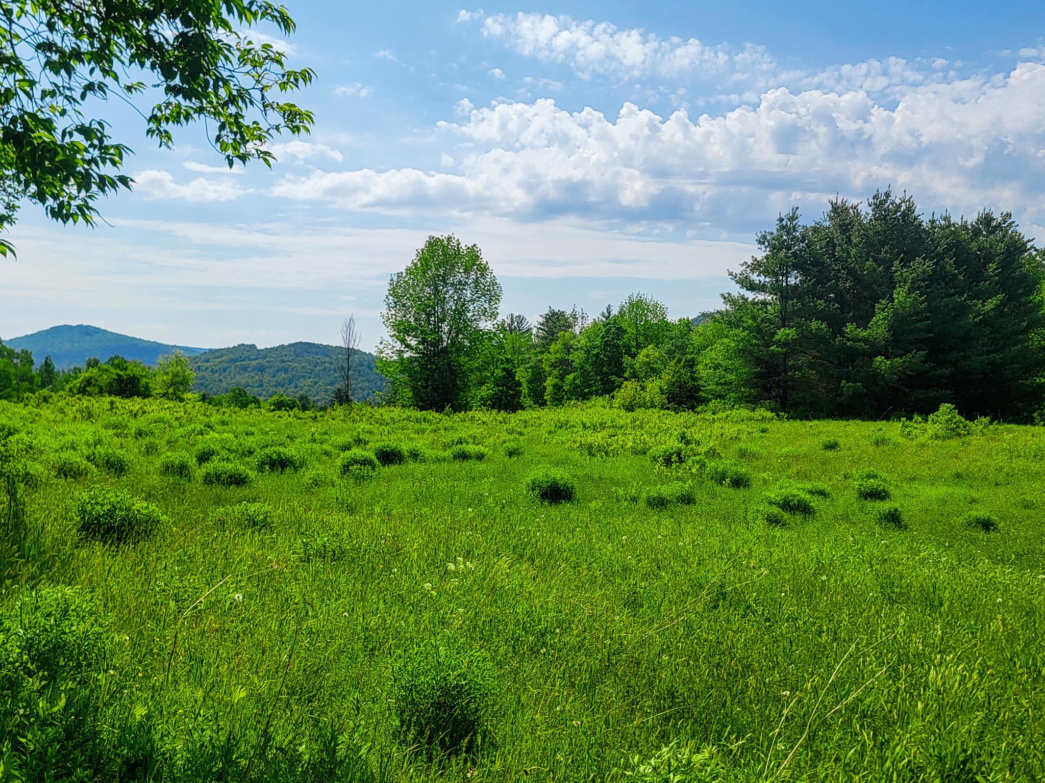 342 Access Road, Unit 4 Rochester, VT 05767 - Photo 5 of 40