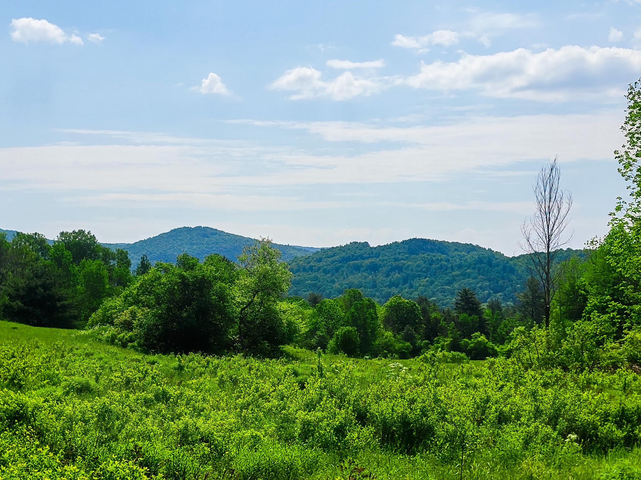 342 Access Road, Unit 4 Rochester, VT 05767 - Photo 6 of 40