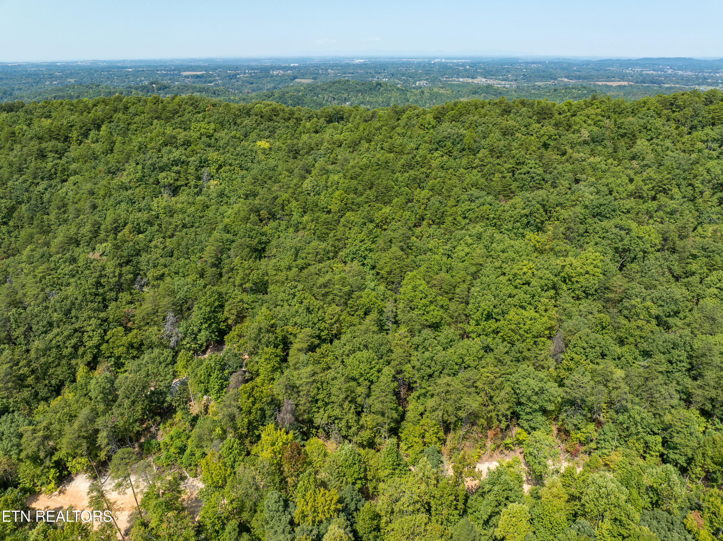 Butterfly Hollow Road Maryville, TN 37803 - Photo 12 of 17 DJI_0604