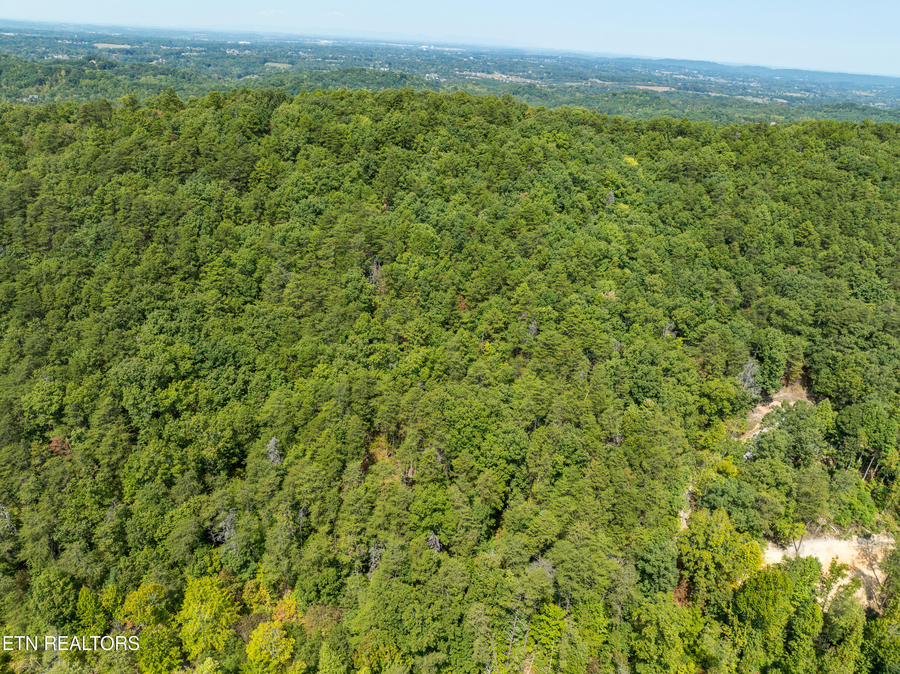 Butterfly Hollow Road Maryville, TN 37803 - Photo 14 of 17 DJI_0606