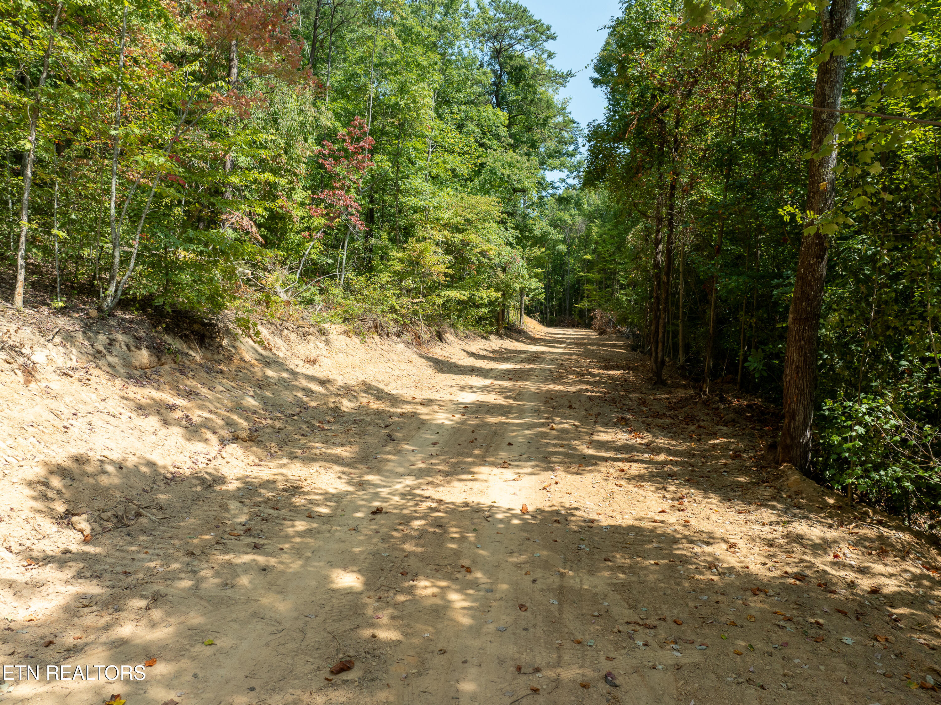 Butterfly Hollow Road Maryville, TN 37803 - Photo 16 of 17 DJI_0608