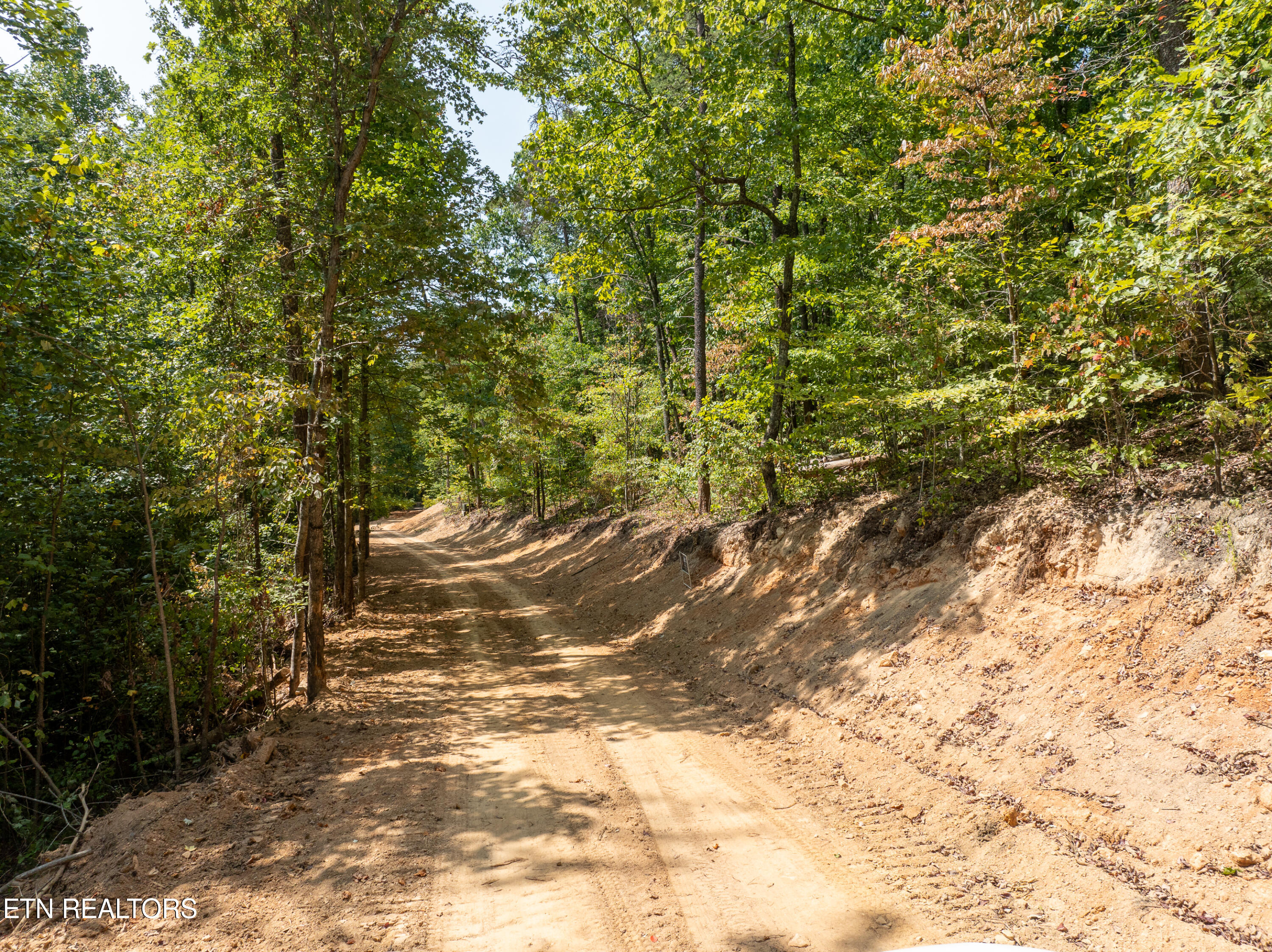 Butterfly Hollow Road Maryville, TN 37803 - Photo 17 of 17 DJI_0609