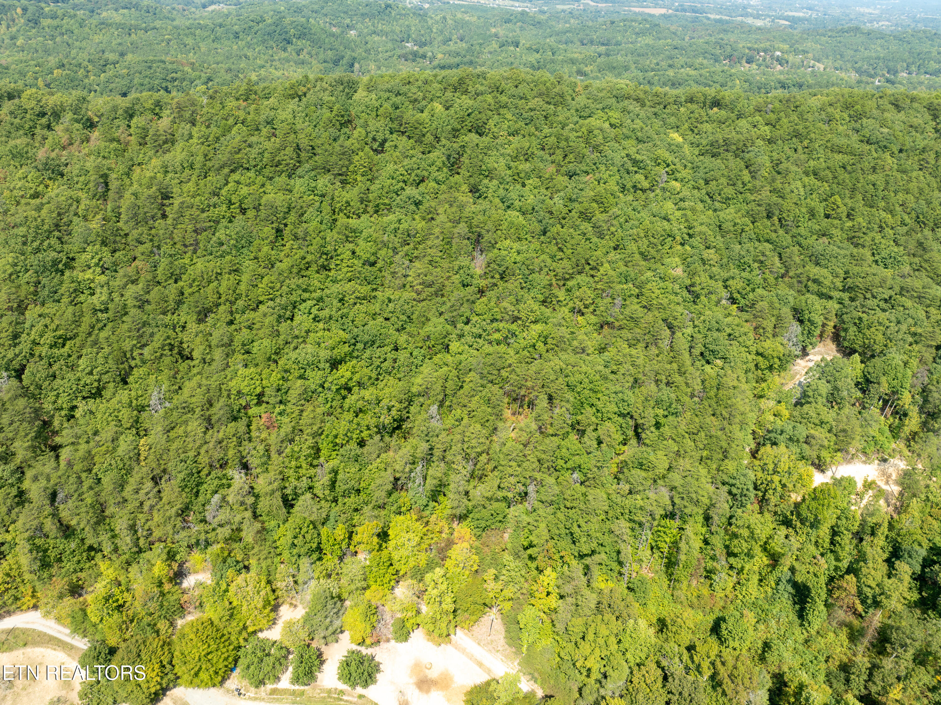 Butterfly Hollow Road Maryville, TN 37803 - Photo 3 of 17 DJI_0596