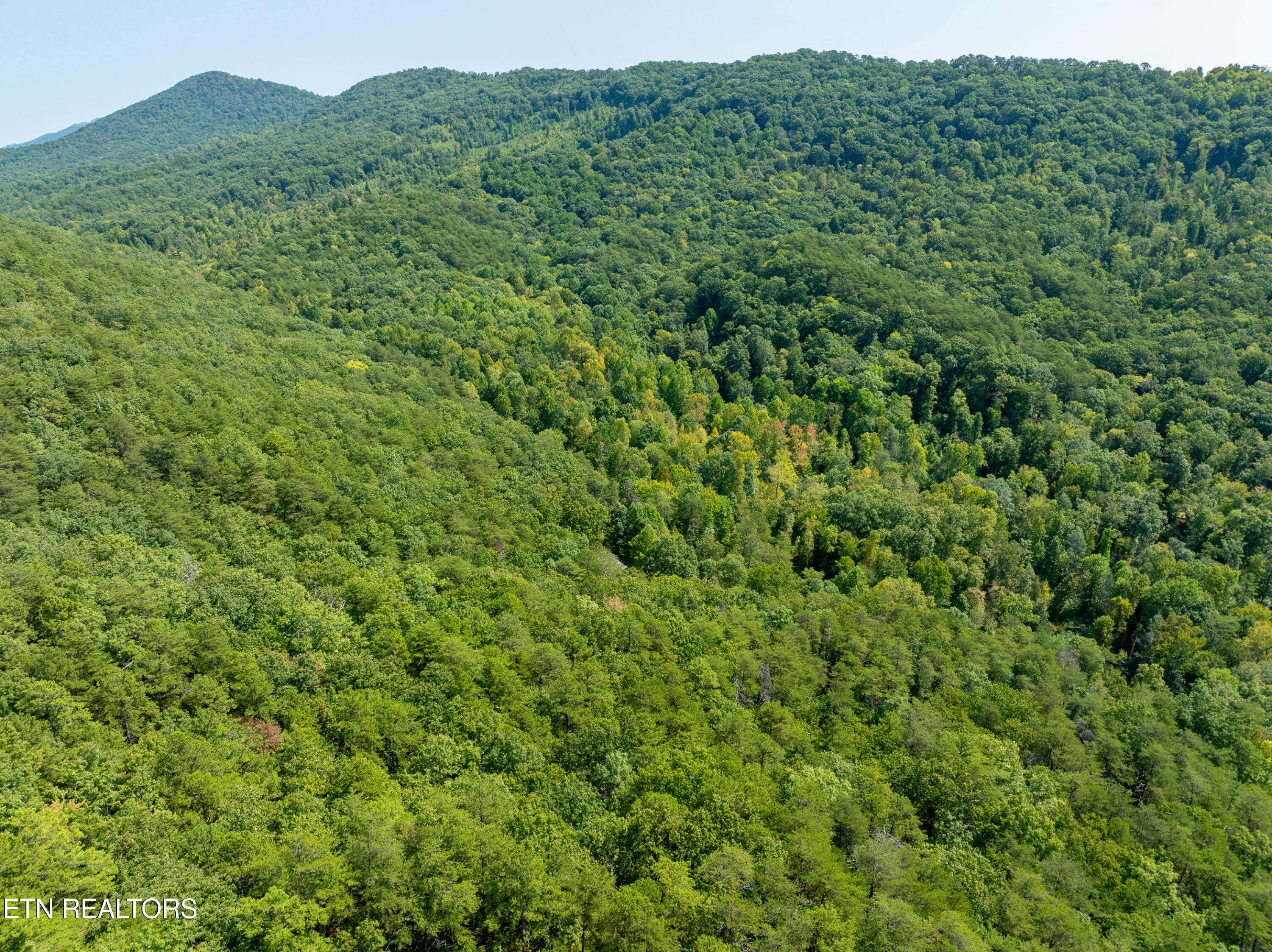 Butterfly Hollow Road Maryville, TN 37803 - Photo 6 of 17 DJI_0598