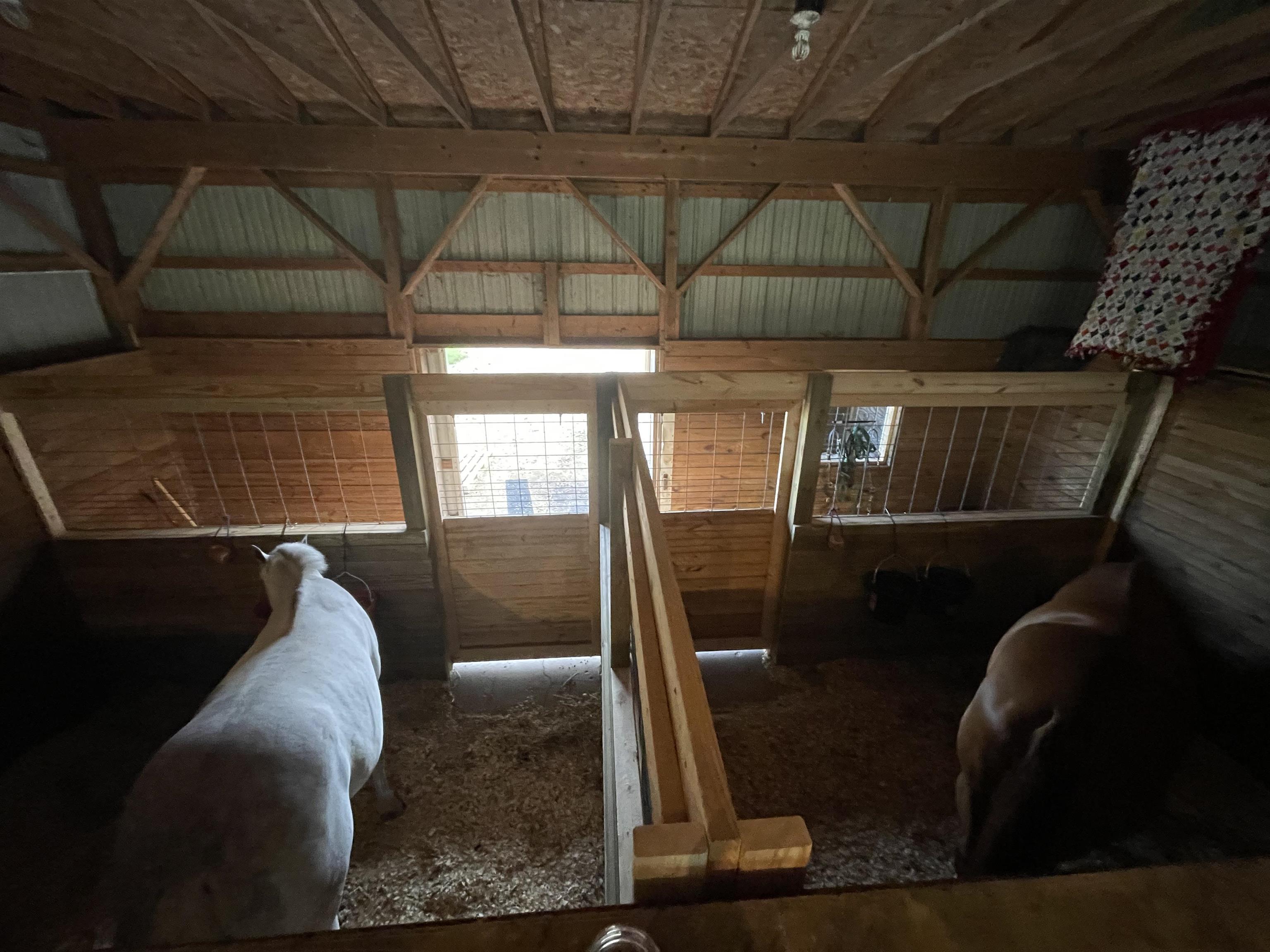 6302 Brackett Road Williamsburg, MI 49690 - Photo 21 of 23 1913004-20.JPG