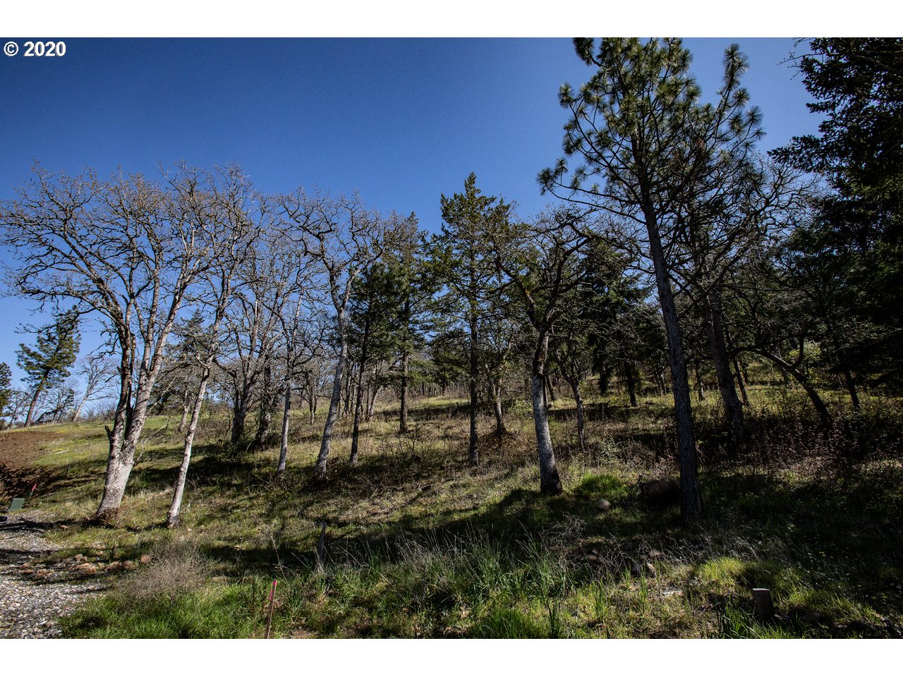 5th Avenue, Unit 25 Mosier, OR 97040 - Photo 14 of 19 Gallery Image 14
