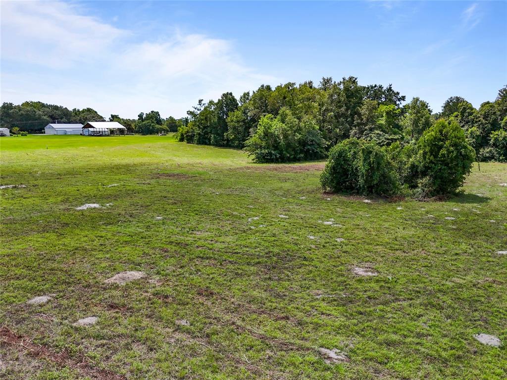 Southwest 157th Terrace Archer, FL 32618 - Photo 11 of 14 a view of a field with an trees in the background