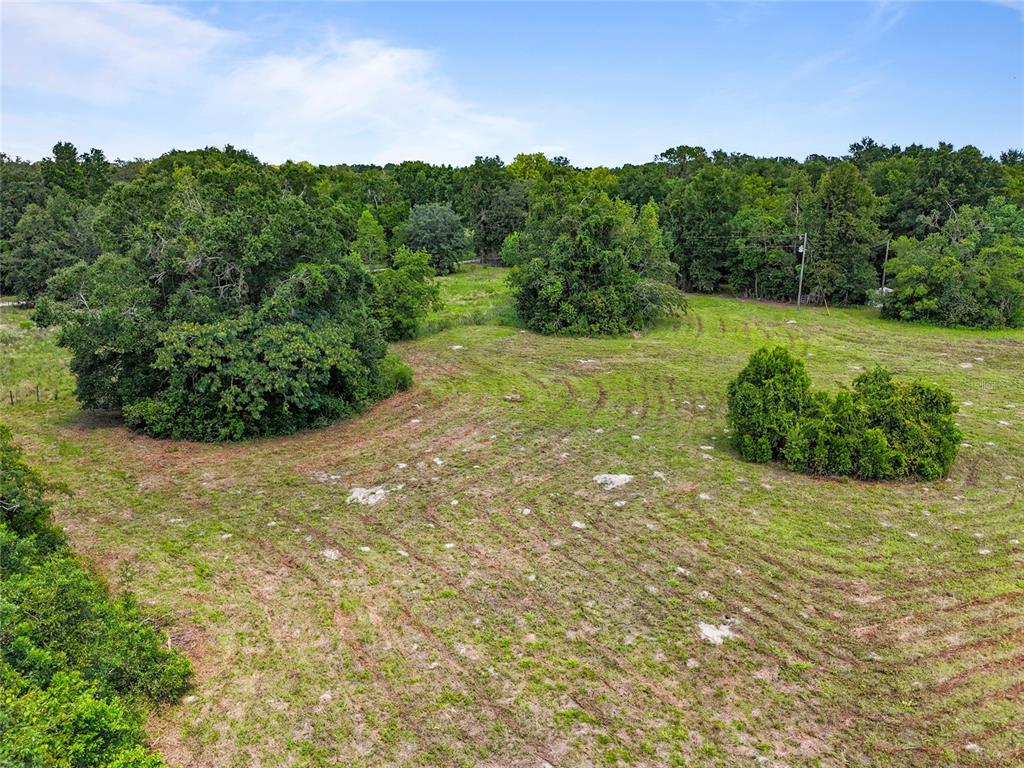 Southwest 157th Terrace Archer, FL 32618 - Photo 12 of 14 a view of a field with an trees in the background