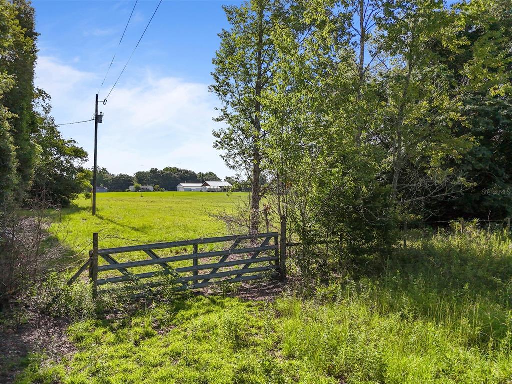 Southwest 157th Terrace Archer, FL 32618 - Photo 7 of 14