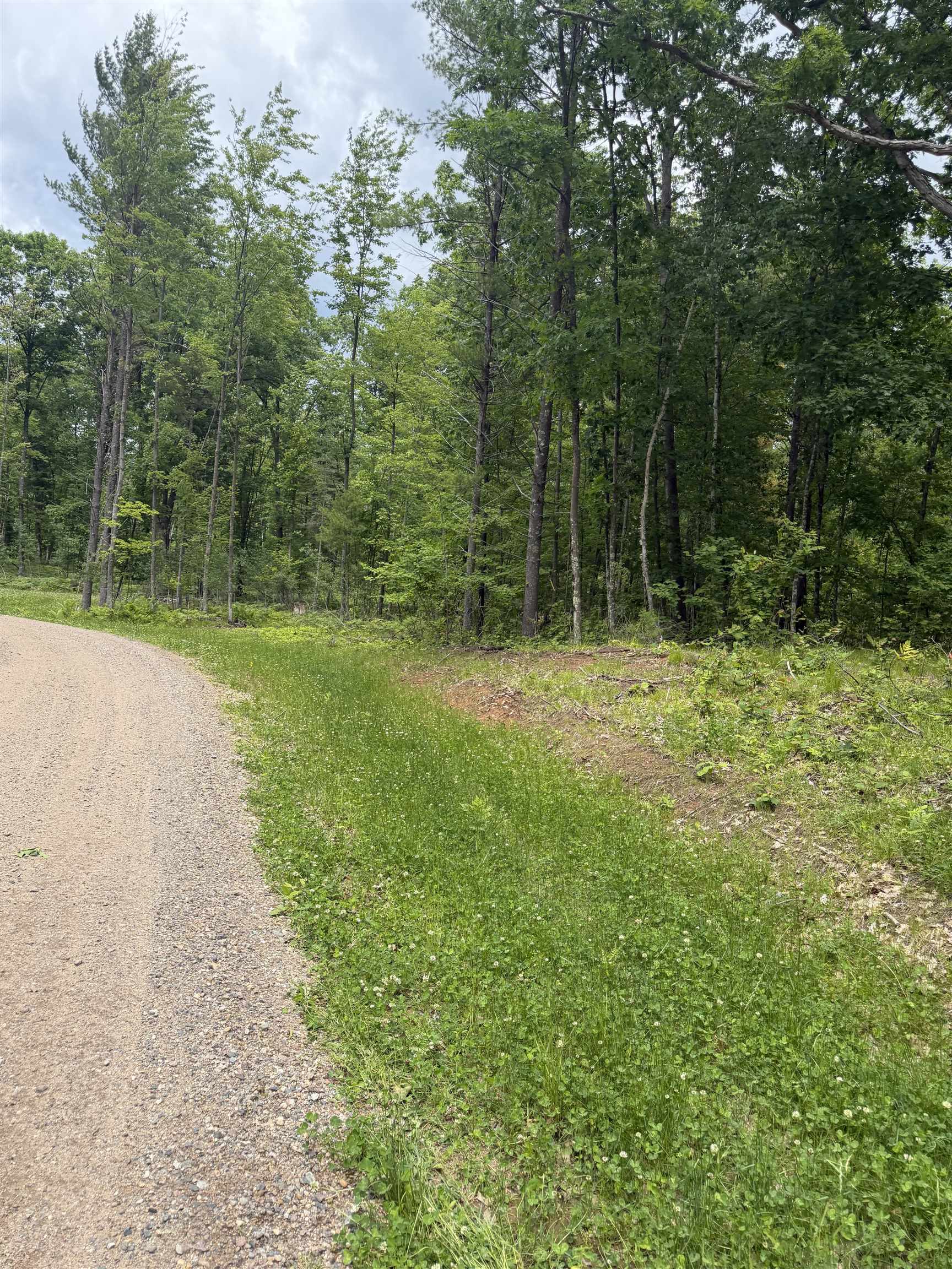 Lot 8 Rhett Lane, Unit 8 Wausaukee, WI 54177 - Photo 2 of 16