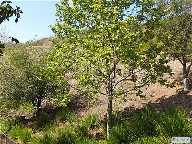 Beautiful views from living room