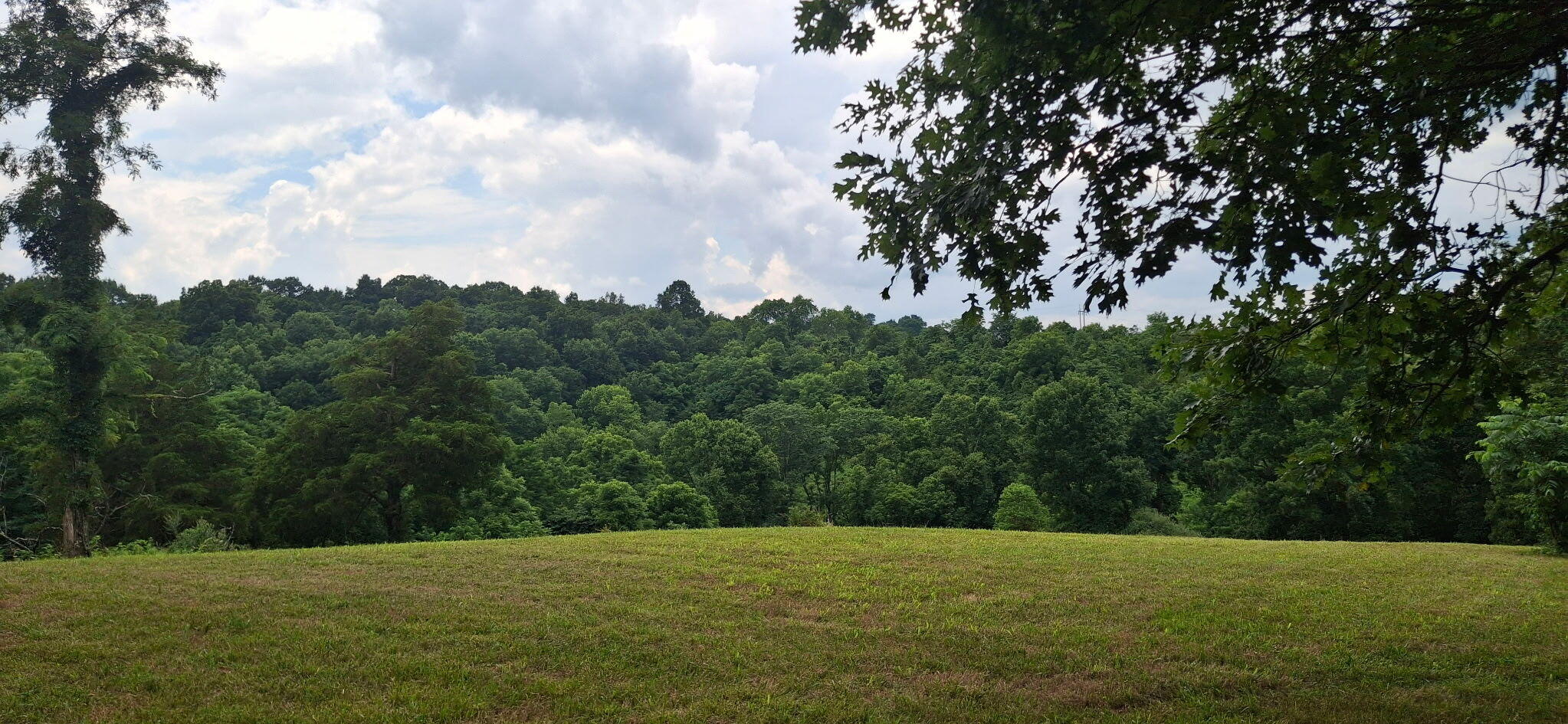 0 Tract 1 Cordova Road Williamstown, KY 41097 - Photo 6 of 7 1000054794