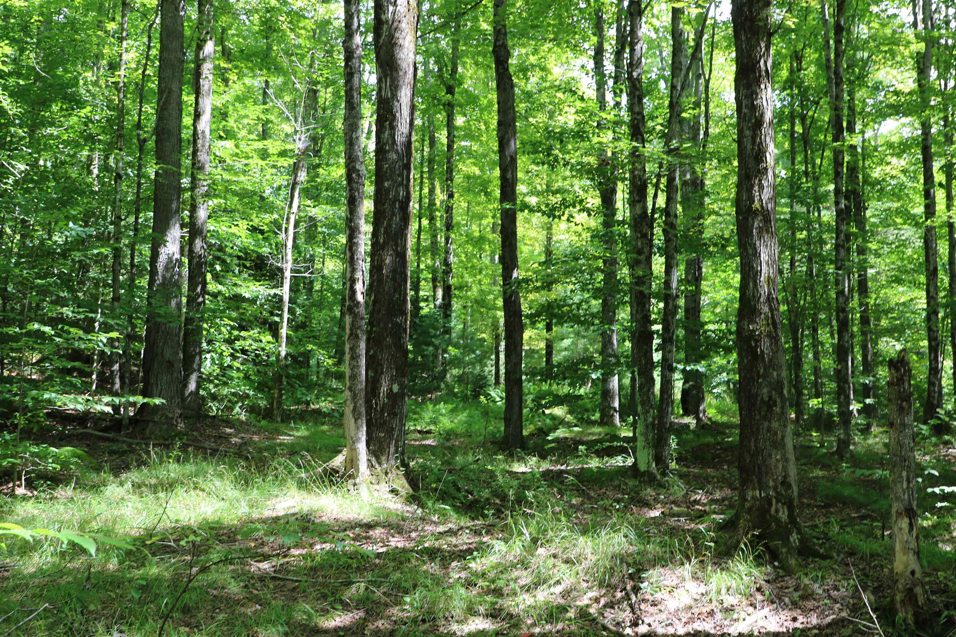 115 Kennedy Drive Rochester, VT 05767 - Photo 19 of 21