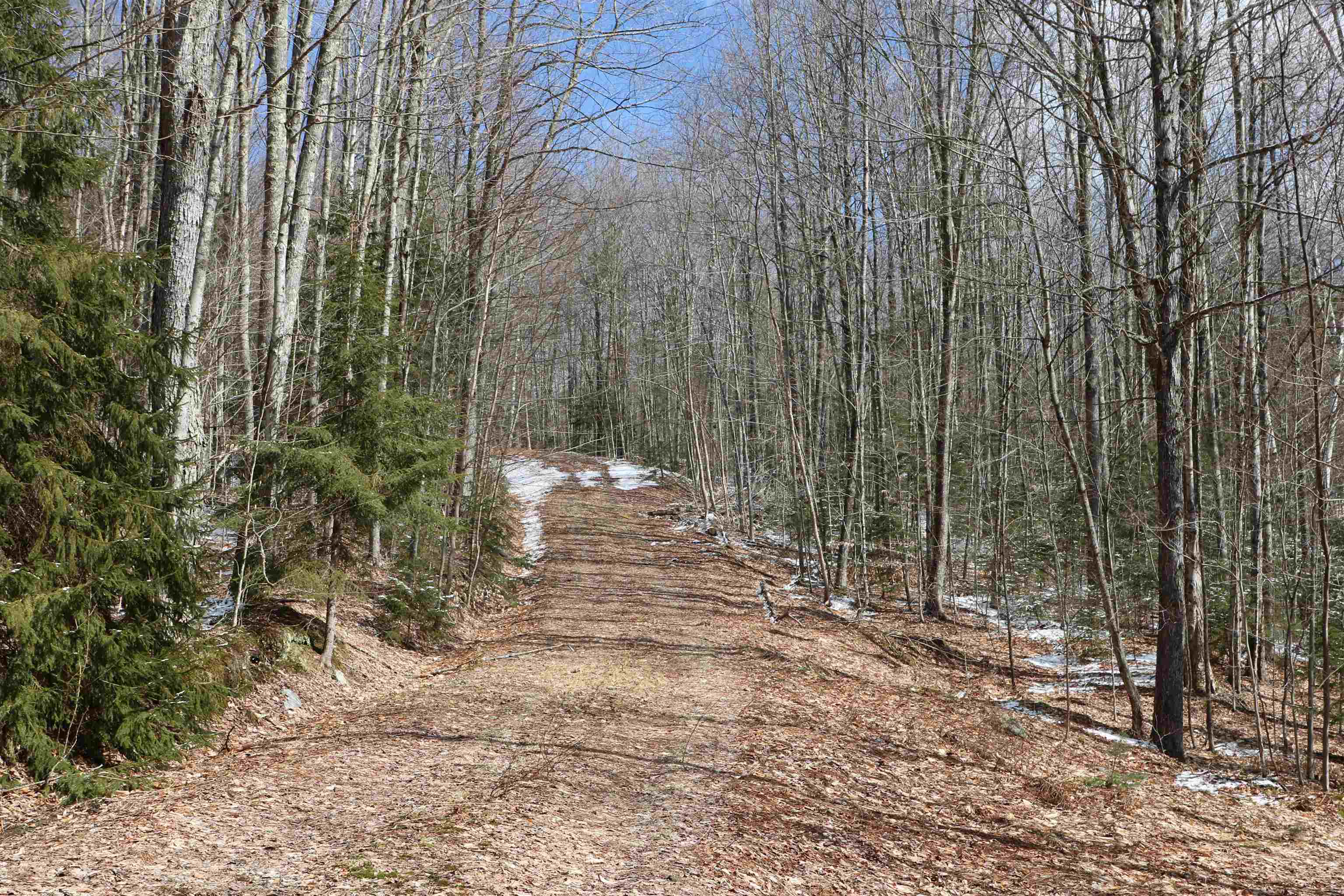 115 Kennedy Drive Rochester, VT 05767 - Photo 5 of 21