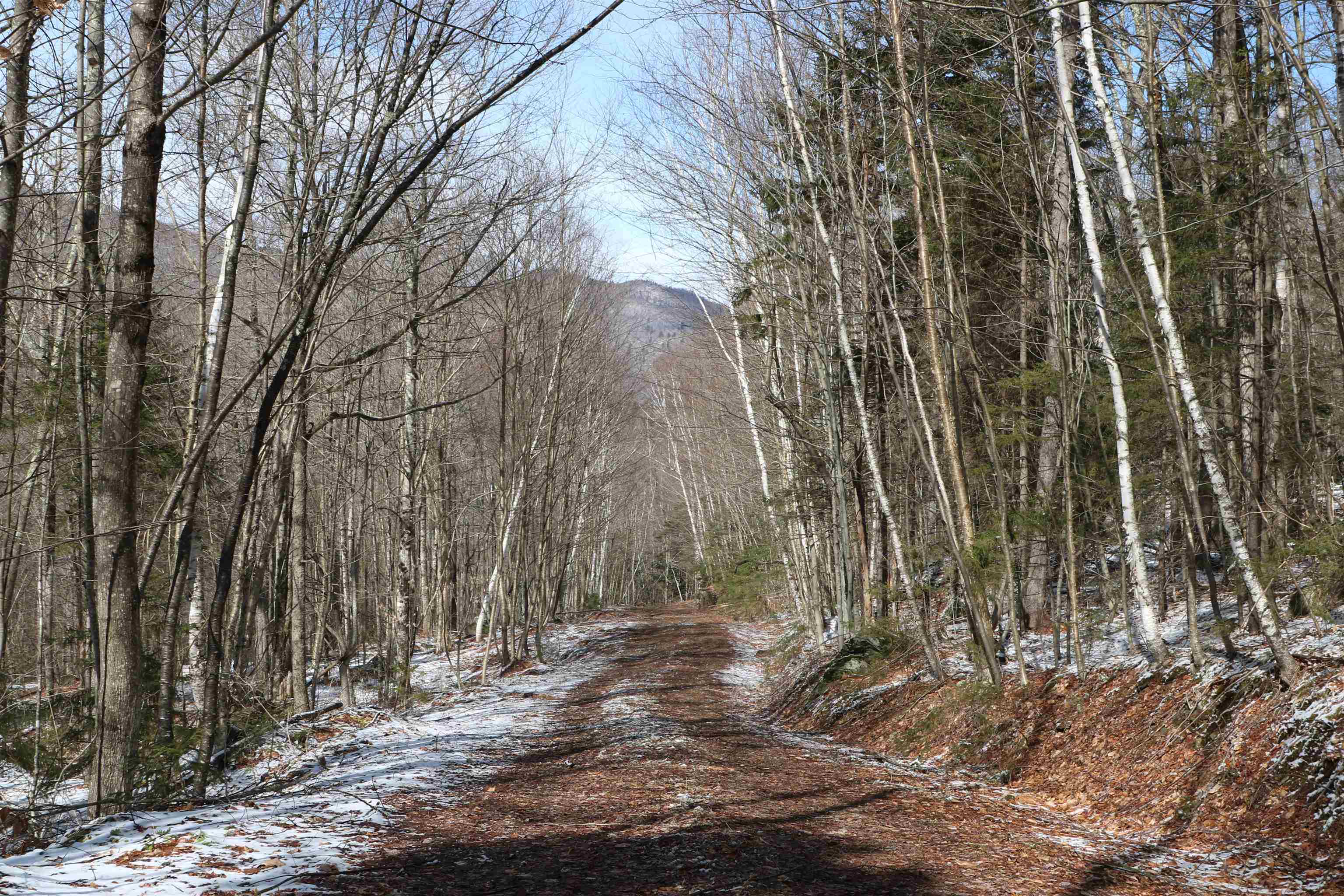 115 Kennedy Drive Rochester, VT 05767 - Photo 6 of 21