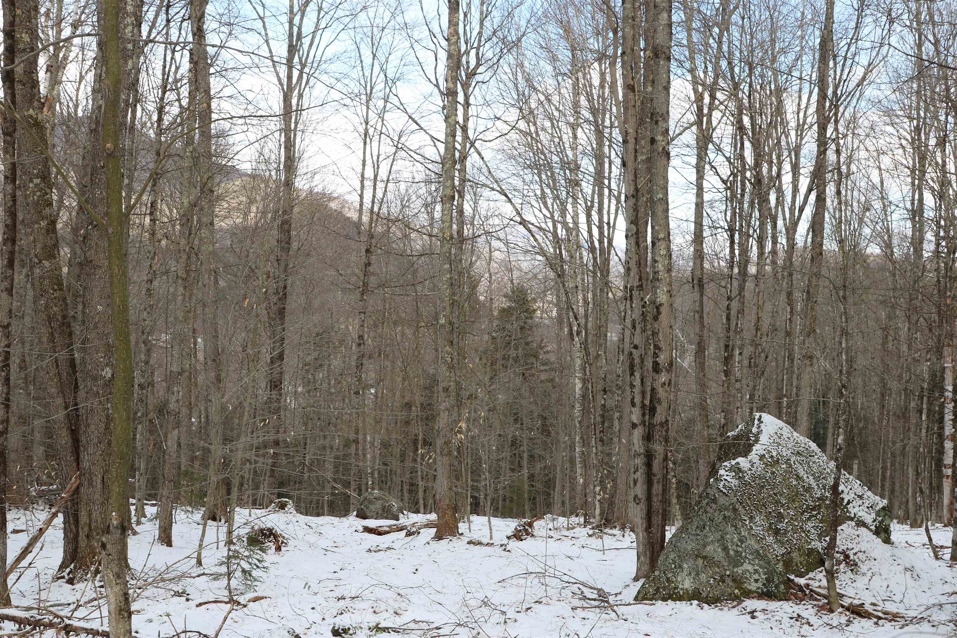 115 Kennedy Drive Rochester, VT 05767 - Photo 8 of 21