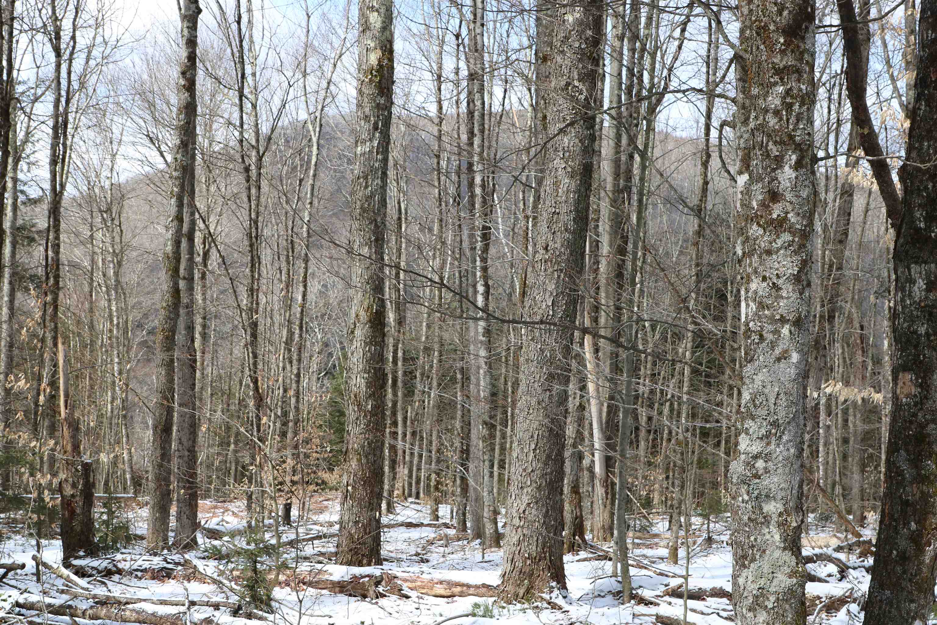115 Kennedy Drive Rochester, VT 05767 - Photo 9 of 21