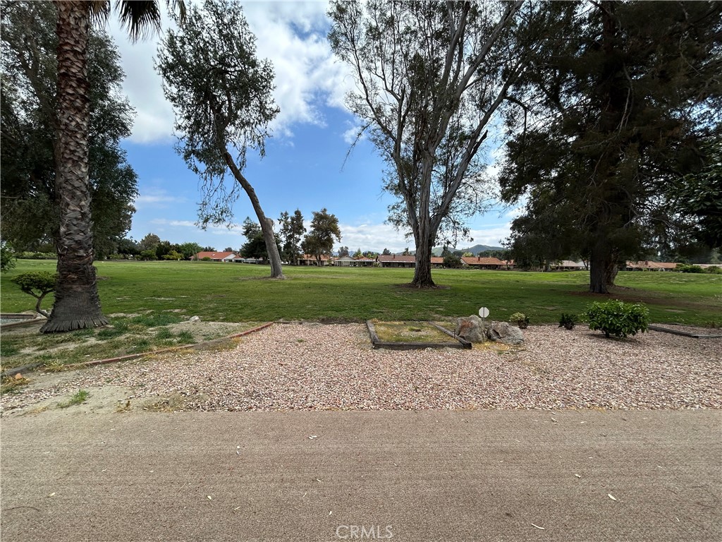 1915 Silver Oak Way Hemet, CA 92545 - Photo 2 of 17 a view of a park with a large trees