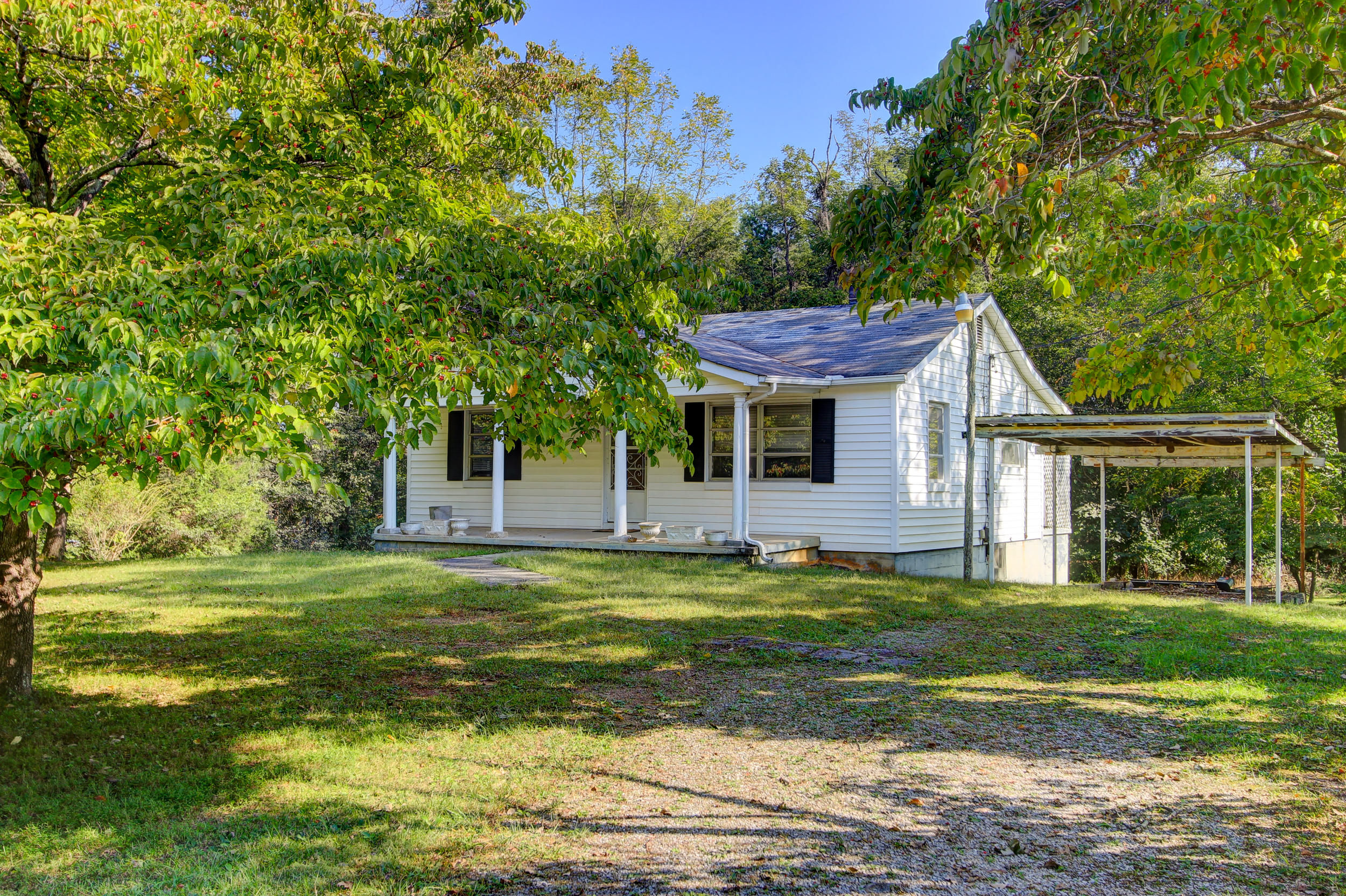 3908 Clear Springs Road Mascot, TN 37806 - Photo 1 of 14 Positive Perception-1