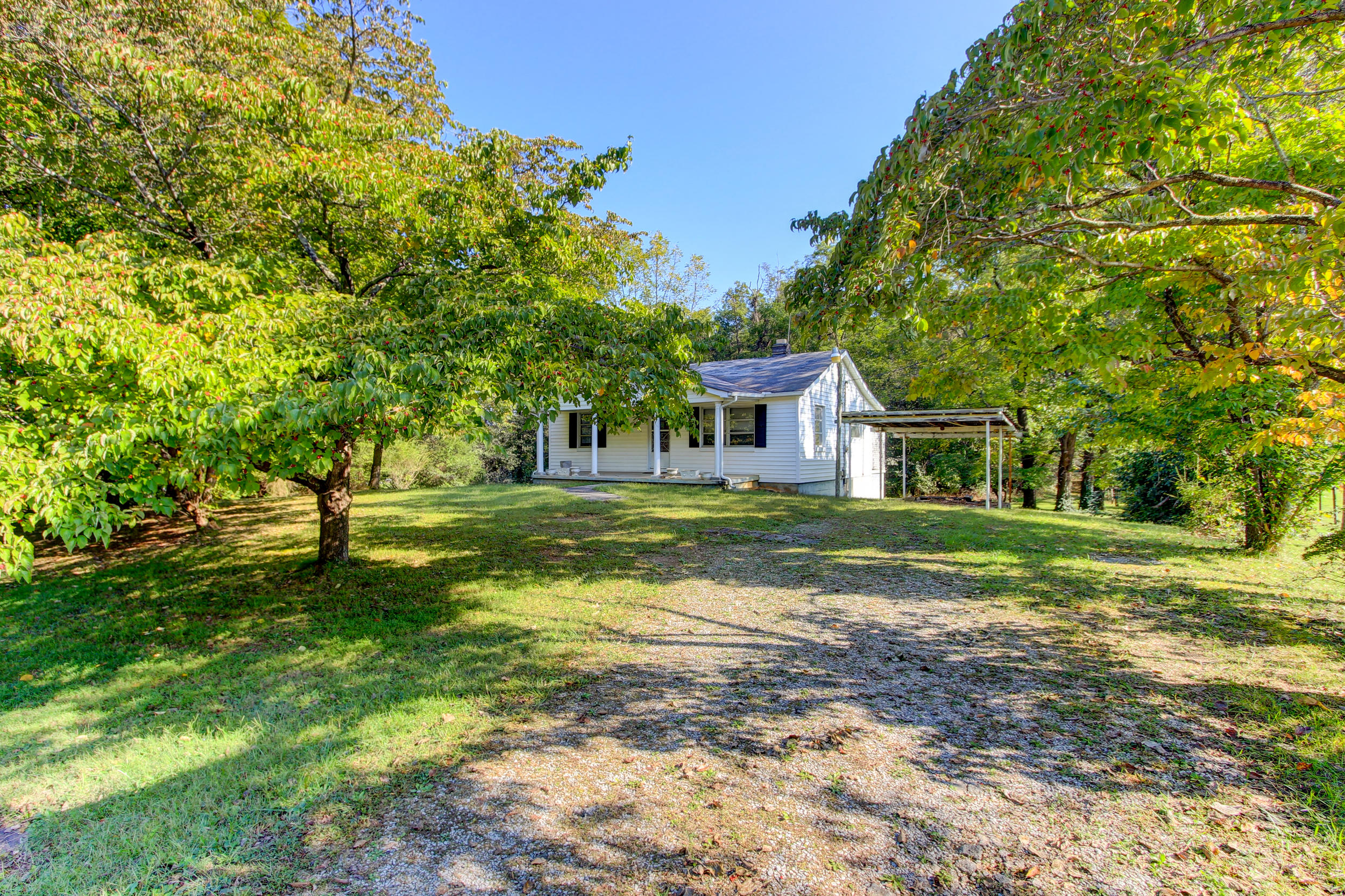 3908 Clear Springs Road Mascot, TN 37806 - Photo 5 of 14 Positive Perception-14