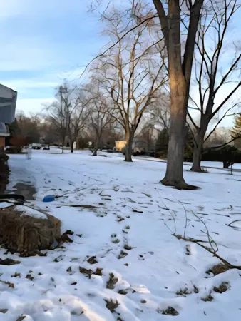 a backyard of a house with barbeque oven