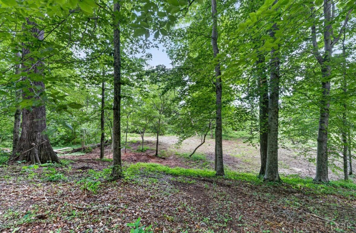 275 Fox Hill Road Rice, VA 23966 - Photo 50 of 58