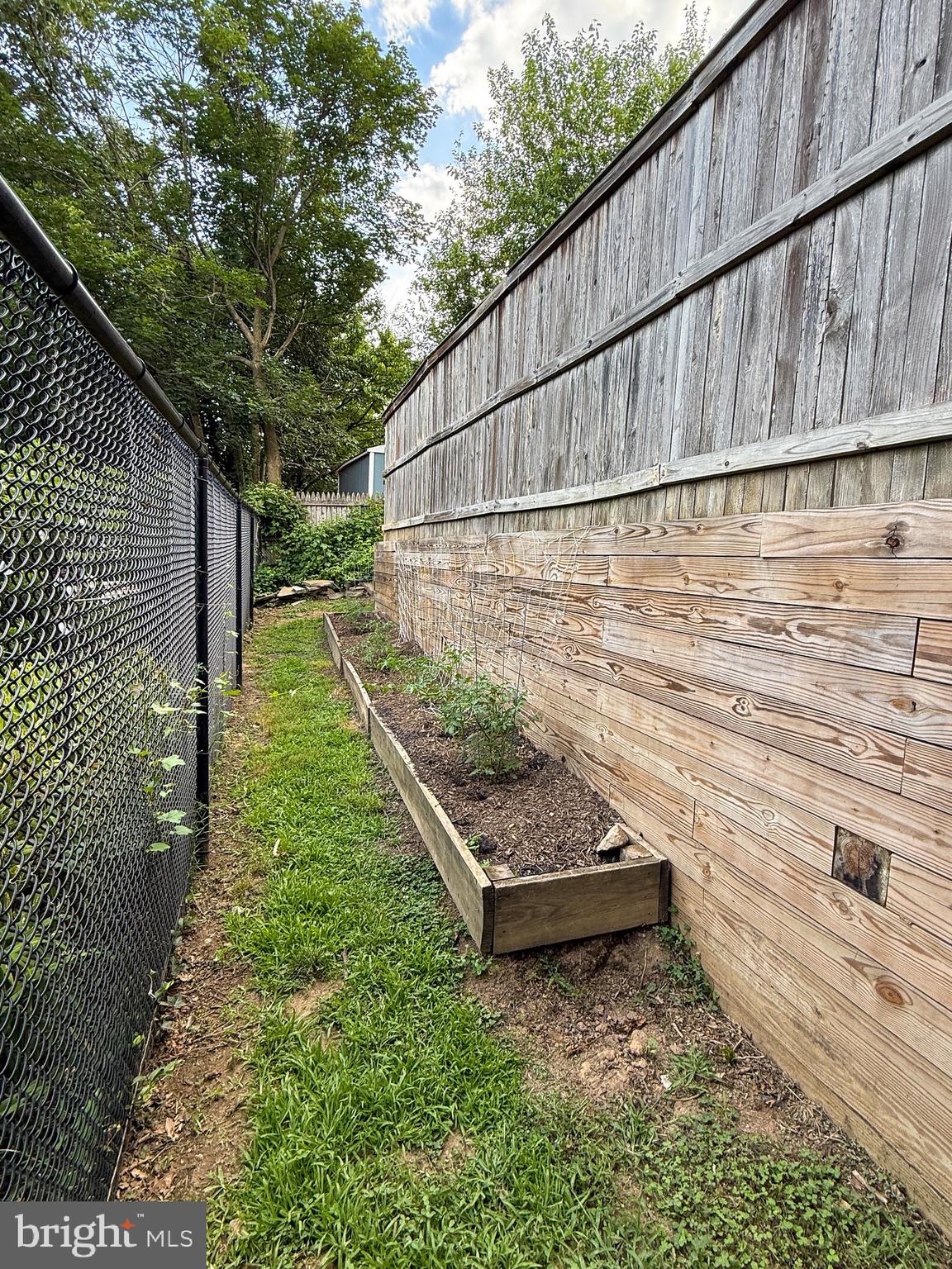 406 Belton Road Silver Spring, MD 20901 - Photo 32 of 36 Fresh herbs