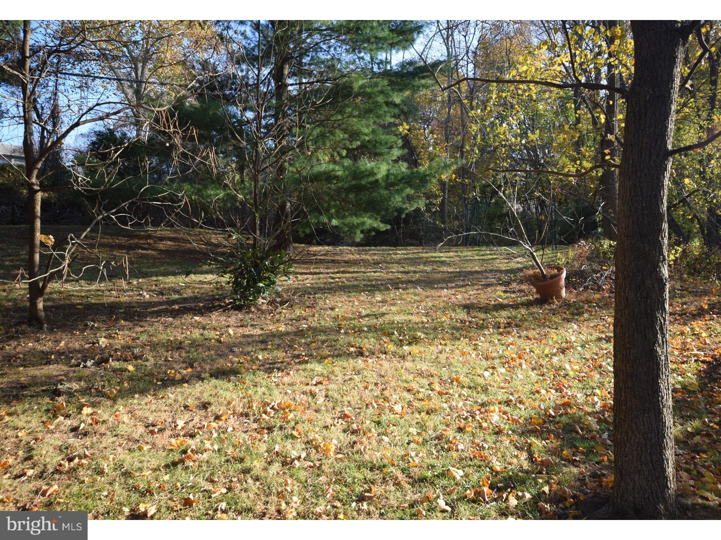 1612 Lawrence Road Havertown, PA 19083 - Photo 3 of 25 Back Yard