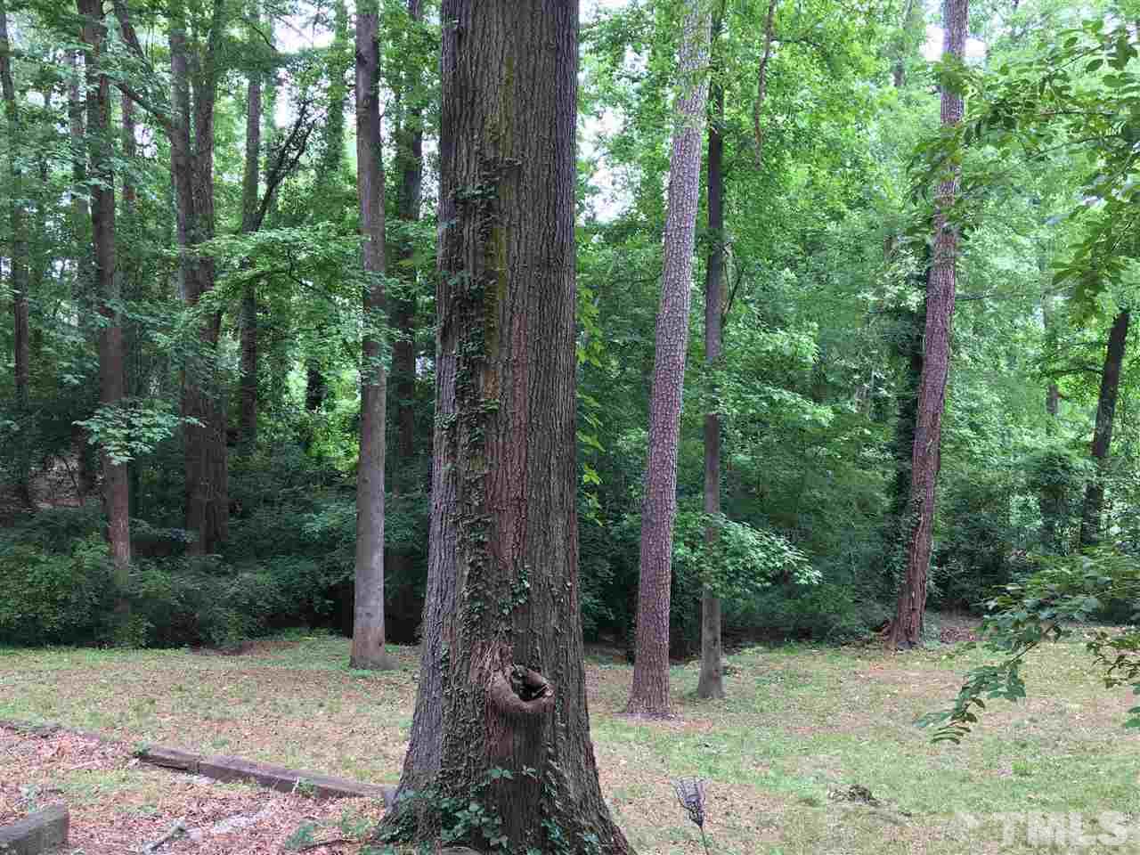 3614 Hope Valley Road Durham, NC 27707 - Photo 3 of 4 a pathway of a forest