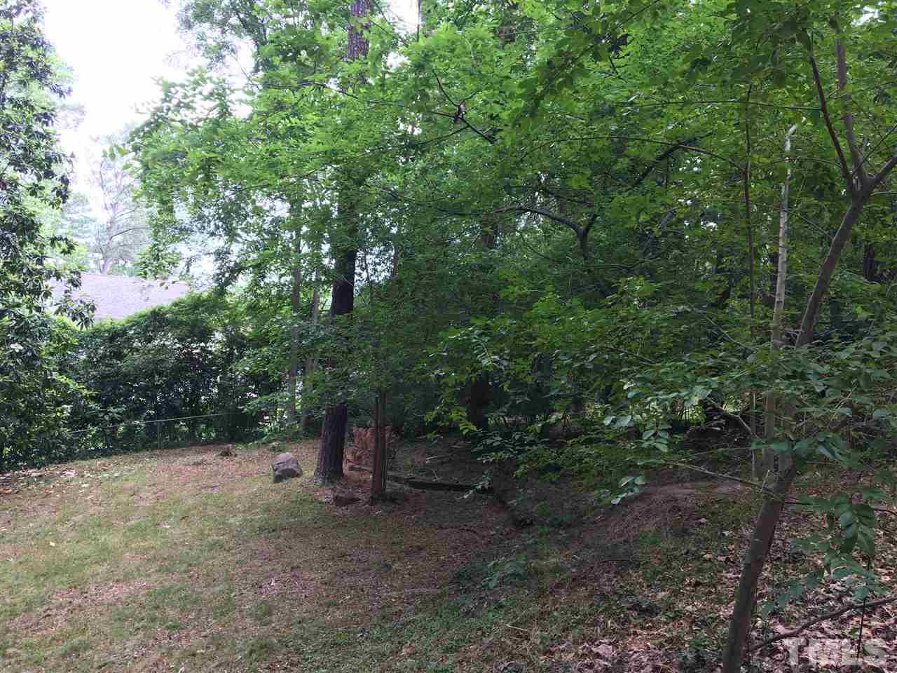 3614 Hope Valley Road Durham, NC 27707 - Photo 4 of 4 a view of a forest with trees in the background