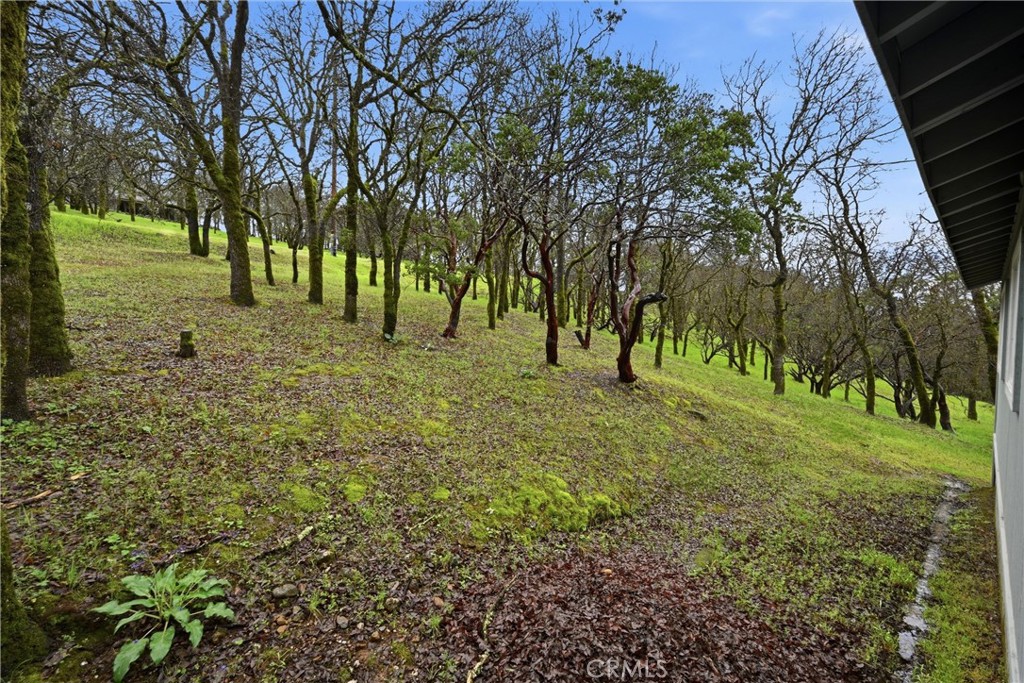 19474 Donkey Hill Road Hidden Valley Lake, CA 95467 - Photo 26 of 38 a view of outdoor space with a garden