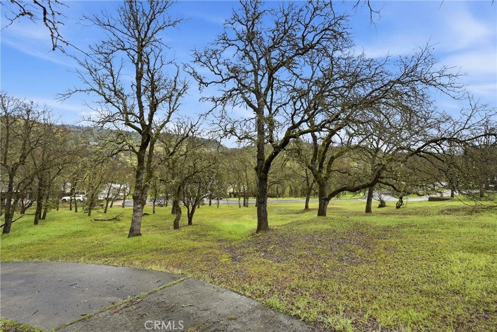 19474 Donkey Hill Road Hidden Valley Lake, CA 95467 - Photo 30 of 38 a view of park space